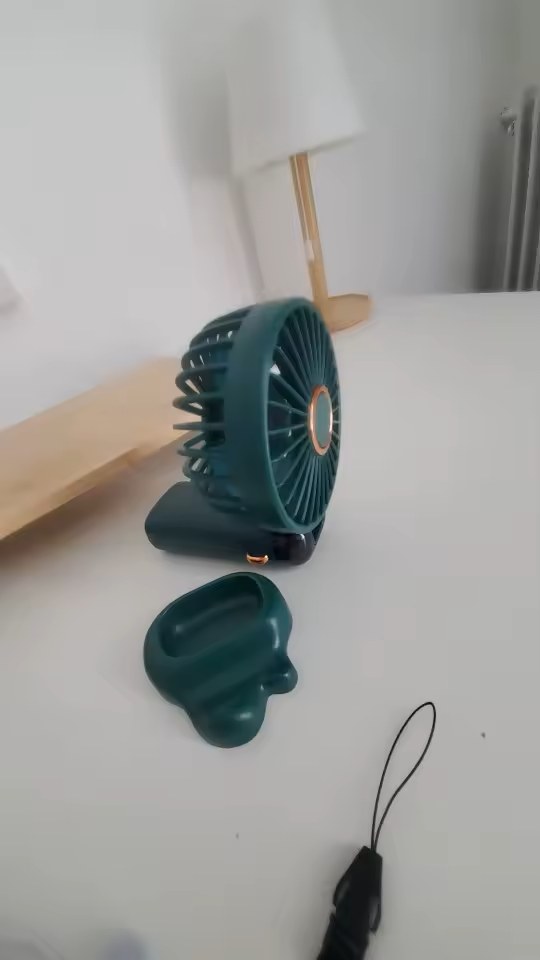 Photo provenant du dossier témoignage 2